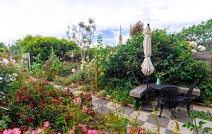 The garden changes with the seasons