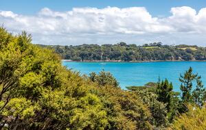 Ten Tawa - Oneroa, Waiheke Island, New Zealand