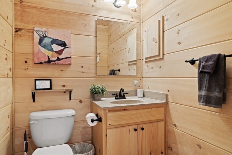 Hatley Pointe Ski Retreat with Private Theater, Hot Tub & Game Room - Mars Hill, North Carolina