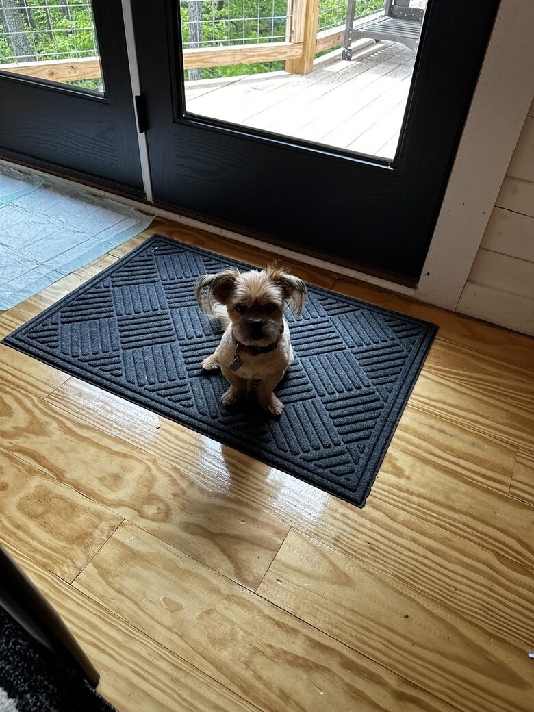 Hatley Pointe Ski Retreat with Private Theater, Hot Tub & Game Room - Mars Hill, North Carolina