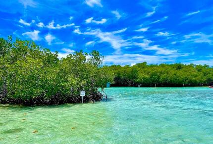 The Rooftop Haven at La Parguera - Lajas, Puerto Rico