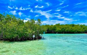 The Rooftop Haven at La Parguera - Lajas, Puerto Rico