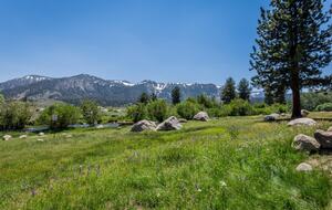 Mammoth Creek Two Bedroom | Walk To The Creek - Mammoth Lakes, California