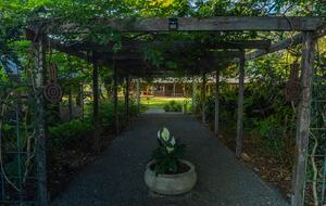 Lomani - Farrants Hill, Australia