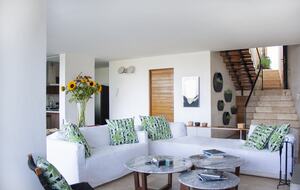 Lucertola - Monte Alto, Mexico