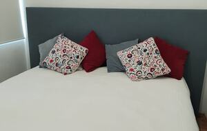 Lucertola - Monte Alto, Mexico