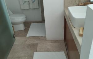 Lucertola - Monte Alto, Mexico