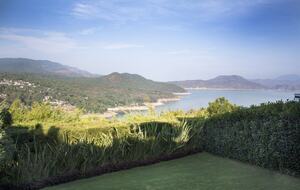 Lucertola - Monte Alto, Mexico
