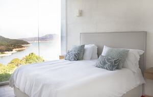 Lucertola - Monte Alto, Mexico