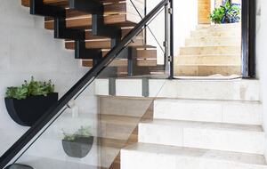 Lucertola - Monte Alto, Mexico