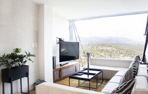 Lucertola - Monte Alto, Mexico