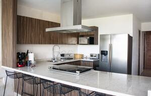 Lucertola - Monte Alto, Mexico