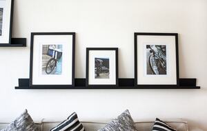 Lucertola - Monte Alto, Mexico