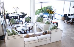 Lucertola - Monte Alto, Mexico