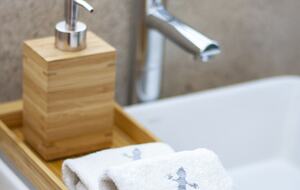 Lucertola - Monte Alto, Mexico