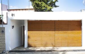 Lucertola - Monte Alto, Mexico