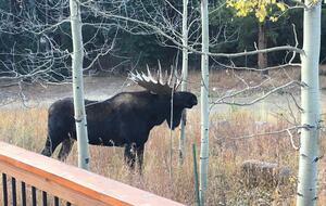 Boulder Bend: Blue River’s Premier Retreat - Breckenridge, Colorado