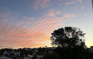 Luxury Mission Bay Oasis with Heated Pool - Auckland, New Zealand