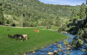 The Illinbah Farmhouse - Illinbah, Australia