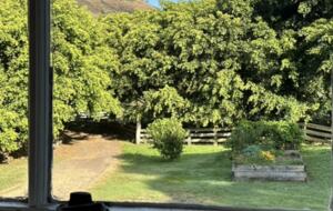 The Illinbah Farmhouse - Illinbah, Australia