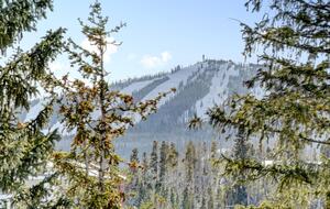 Spacious Townhome with Hot Tub and Fireplace - Winter Park, Colorado