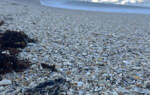 Riverside Bliss with Beach Access in Melbourne Beach - Melbourne Beach, Florida