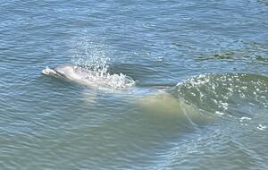 Riverside Bliss with Beach Access in Melbourne Beach - Melbourne Beach, Florida