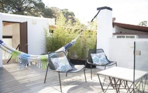 Lucertola - Monte Alto, Mexico