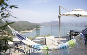 Lucertola - Monte Alto, Mexico