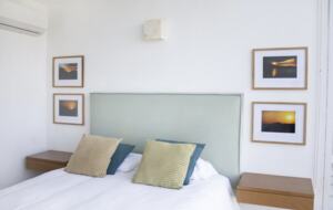 Lucertola - Monte Alto, Mexico