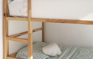 Lucertola - Monte Alto, Mexico