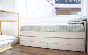 Lucertola - Monte Alto, Mexico