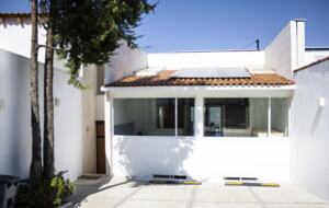 Lucertola - Monte Alto, Mexico