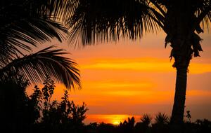 Modern Island Escape with Exclusive Hilton Resort Access - Waikoloa Village, Hawaii