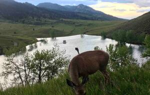 Peaceful Horsetooth Retreat with a View - Fort Collins, Colorado