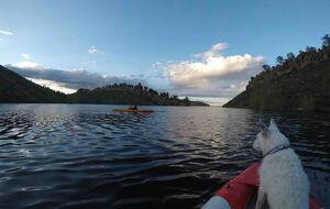 Peaceful Horsetooth Retreat with a View - Fort Collins, Colorado