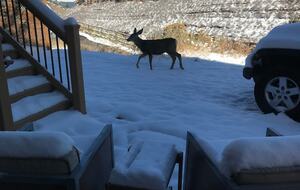 Peaceful Horsetooth Retreat with a View - Fort Collins, Colorado
