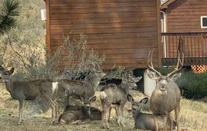 Peaceful Horsetooth Retreat with a View - Fort Collins, Colorado