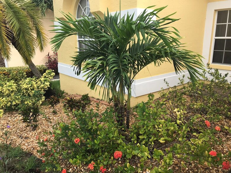 Waterfront St. Pete Retreat with Pool and Dock - St Petersburg, Florida