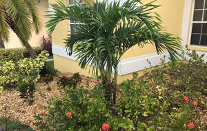 Waterfront St. Pete Retreat with Pool and Dock - St Petersburg, Florida