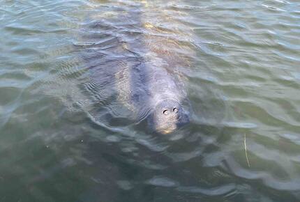 Waterfront St. Pete Retreat with Pool and Dock - St Petersburg, Florida