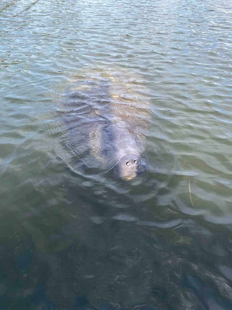 Waterfront St. Pete Retreat with Pool and Dock - St Petersburg, Florida