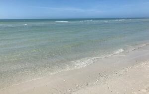 Waterfront St. Pete Retreat with Pool and Dock - St Petersburg, Florida