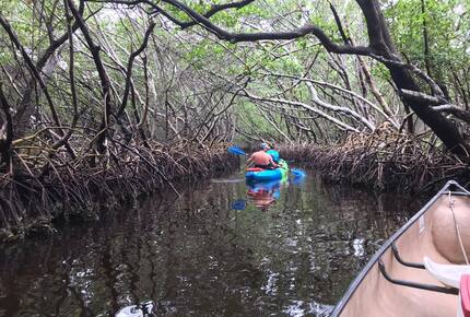 Waterfront St. Pete Retreat with Pool and Dock - St Petersburg, Florida
