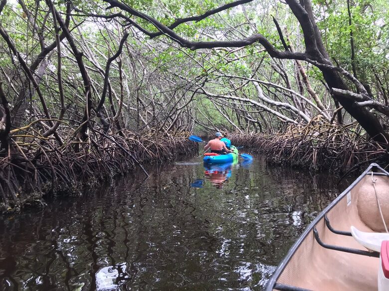 Waterfront St. Pete Retreat with Pool and Dock - St Petersburg, Florida