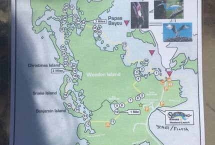 Waterfront St. Pete Retreat with Pool and Dock - St Petersburg, Florida