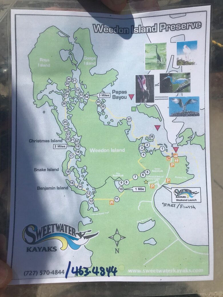 Waterfront St. Pete Retreat with Pool and Dock - St Petersburg, Florida