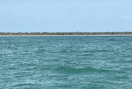 Waterfront St. Pete Retreat with Pool and Dock - St Petersburg, Florida