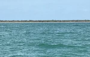 Waterfront St. Pete Retreat with Pool and Dock - St Petersburg, Florida