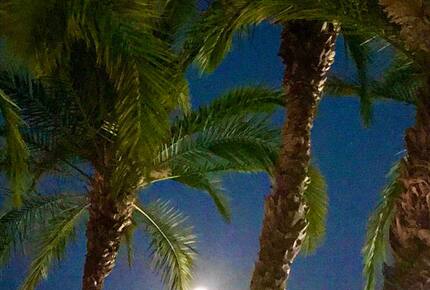 Waterfront St. Pete Retreat with Pool and Dock - St Petersburg, Florida